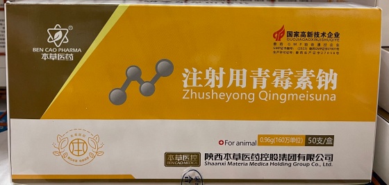 QQ圖片20260105104557.jpg