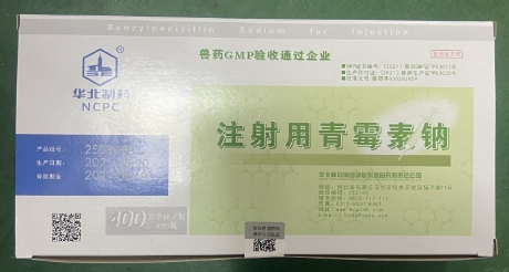 微信截圖_20260120091852.jpg