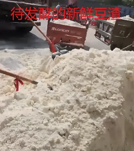 截圖20260128090736.png