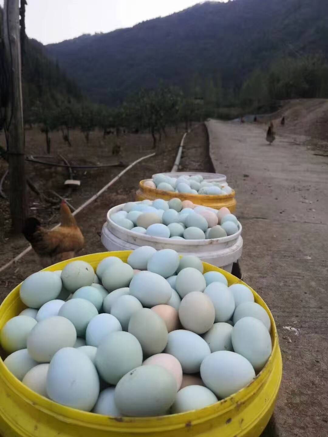 34b7c6b677d8d777887b1fce2a149c26_720.jpg