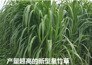 截圖20260210102212.png