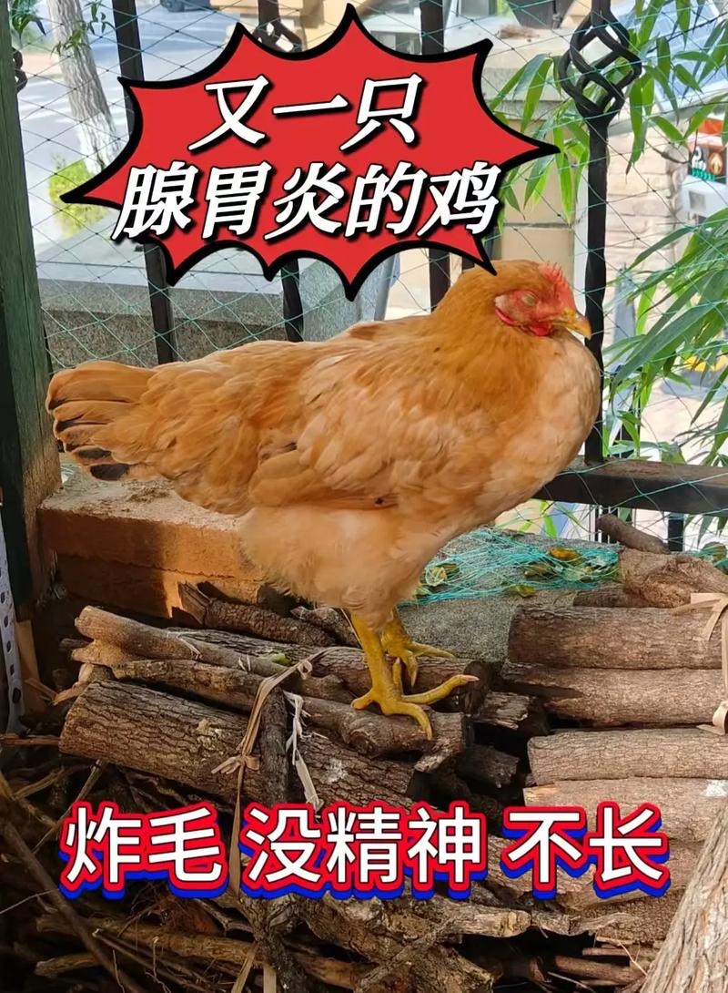 微信圖片_20260226102035.jpg