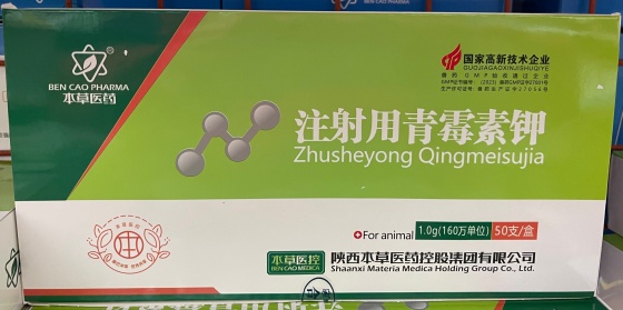 QQ圖片20260115111813.jpg
