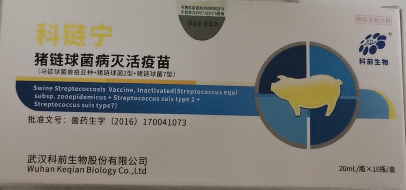 鏈球菌疫苗.png