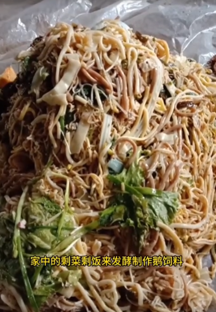 截圖20260307104222.png