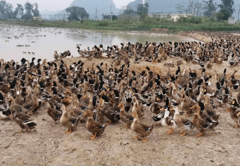 微信截圖_20260311100634.jpg