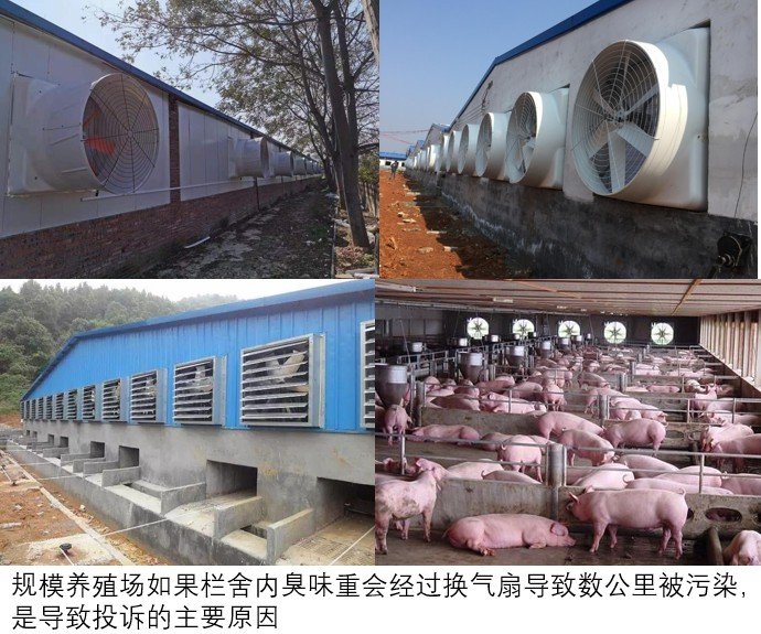 QQ圖片20260313151823.png