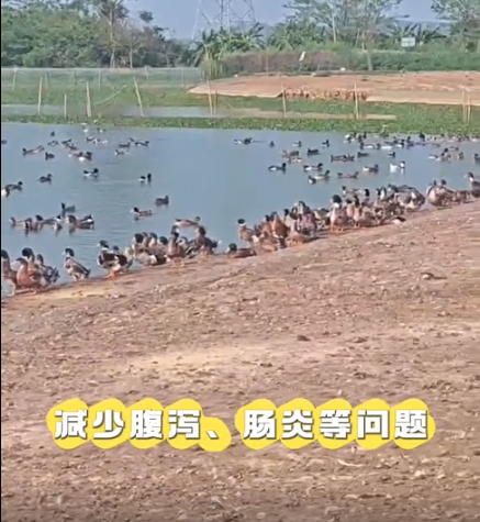 截圖20260319085722.png