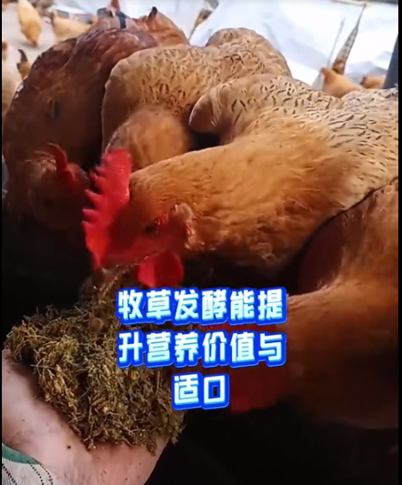 截圖20260320094024.png