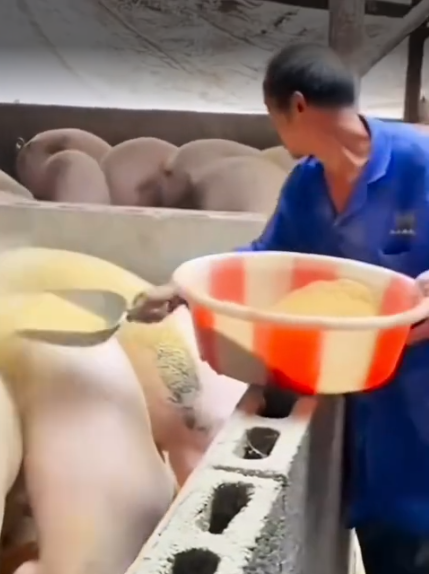 截圖20260325094915.png