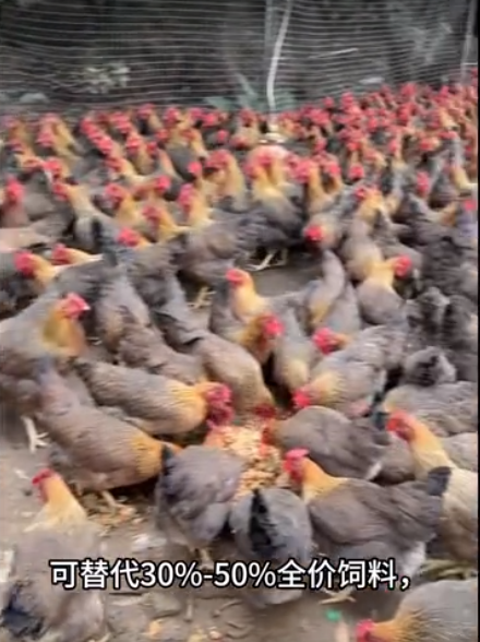 截圖20260326094000.png