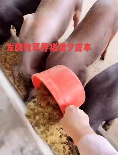 截圖20260327104812.png