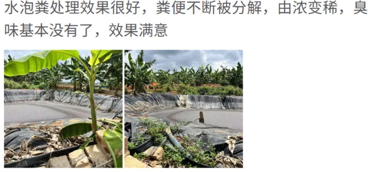 客戶對高效率污水生物處理活菌劑（養(yǎng)殖場污水生物處理劑）效果好評如潮2.jpg