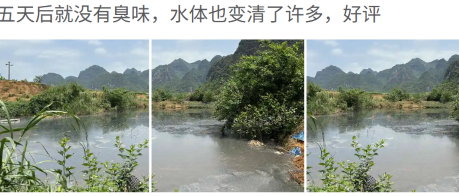 客戶對高效率污水生物處理活菌劑（養(yǎng)殖場污水生物處理劑）效果好評如潮4.jpg