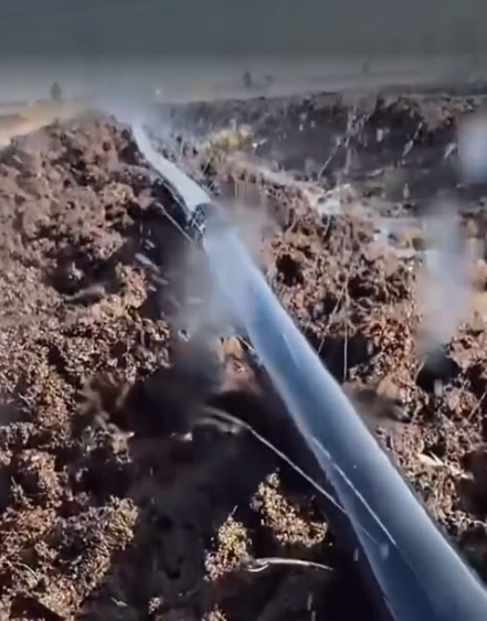 截圖20260422094818.png