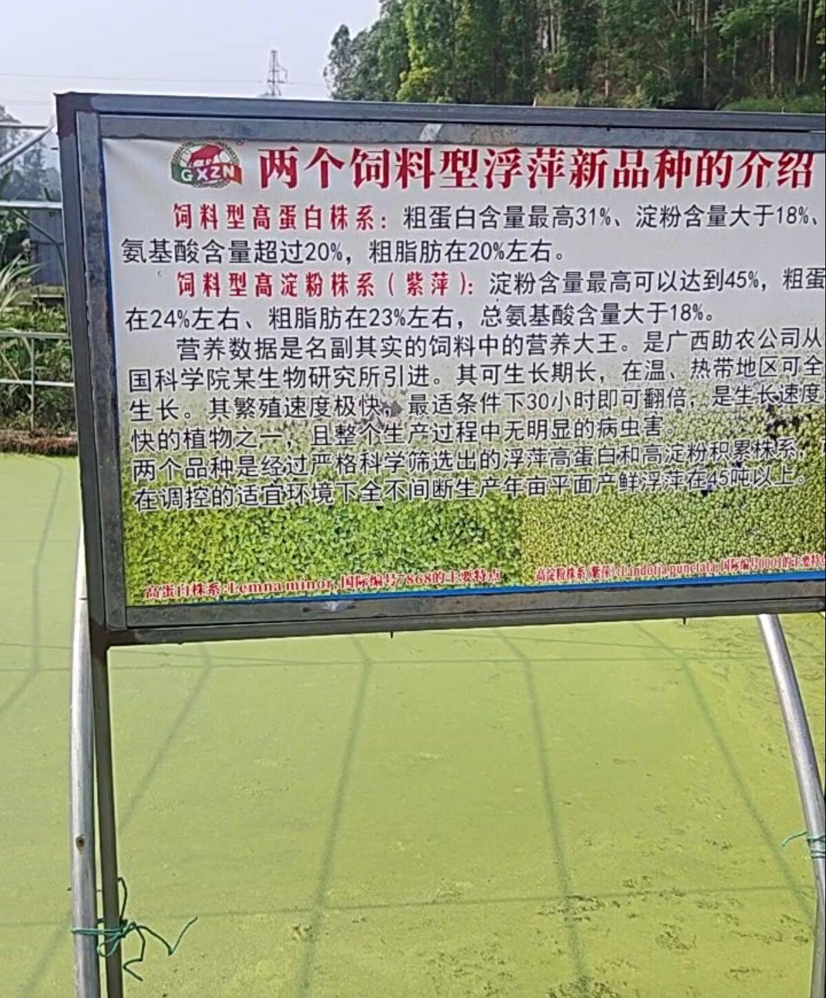 7bb0855f9911223a79cef6a4a34d16e4_720.jpg