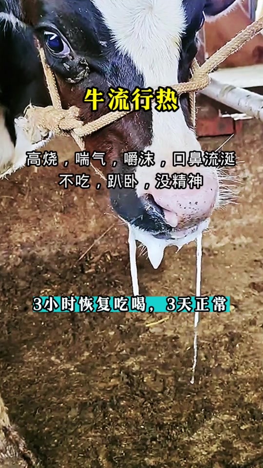 微信圖片_20260507090901.jpg