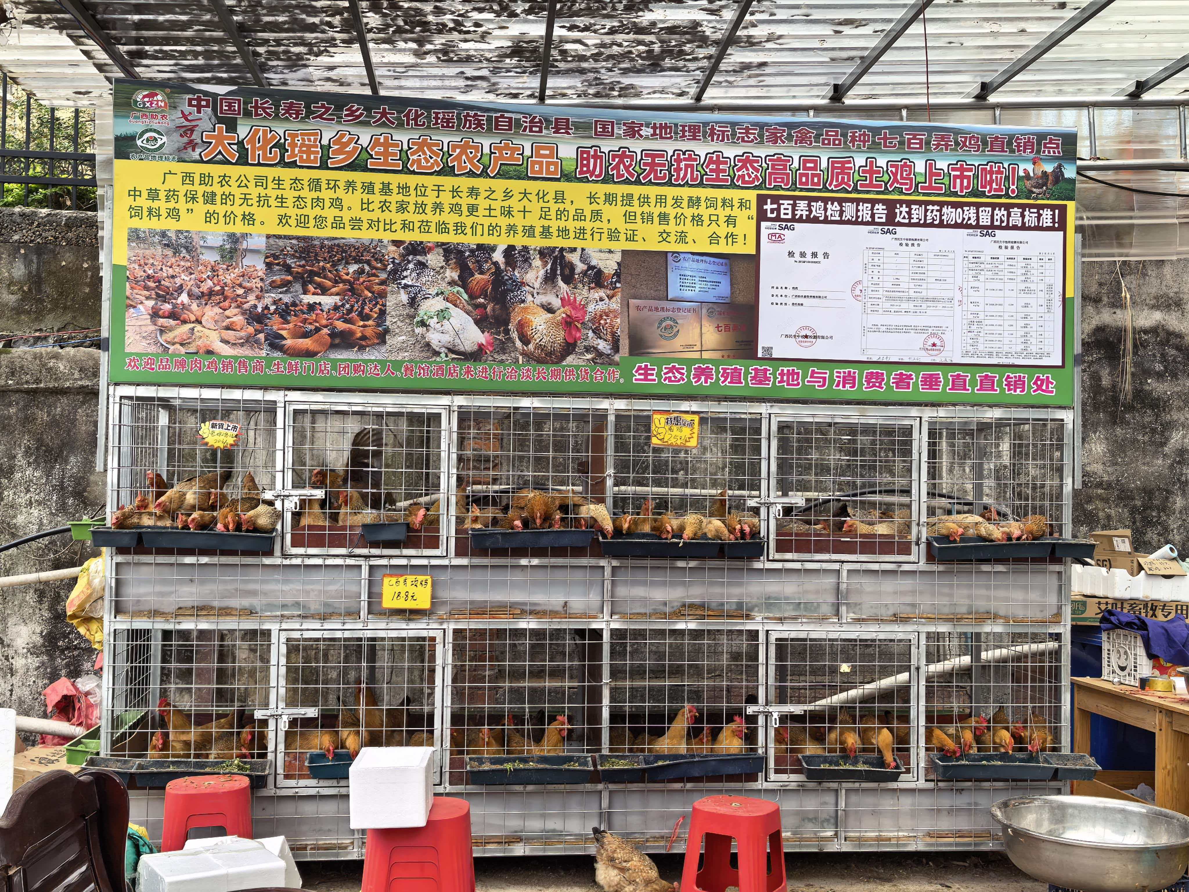 發(fā)酵飼料肉雞銷售點(diǎn).jpg