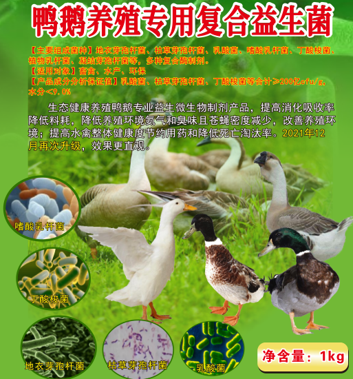 QQ圖片20260607104358.png