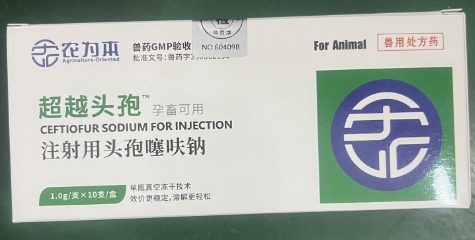 微信截圖_20260629090900.jpg