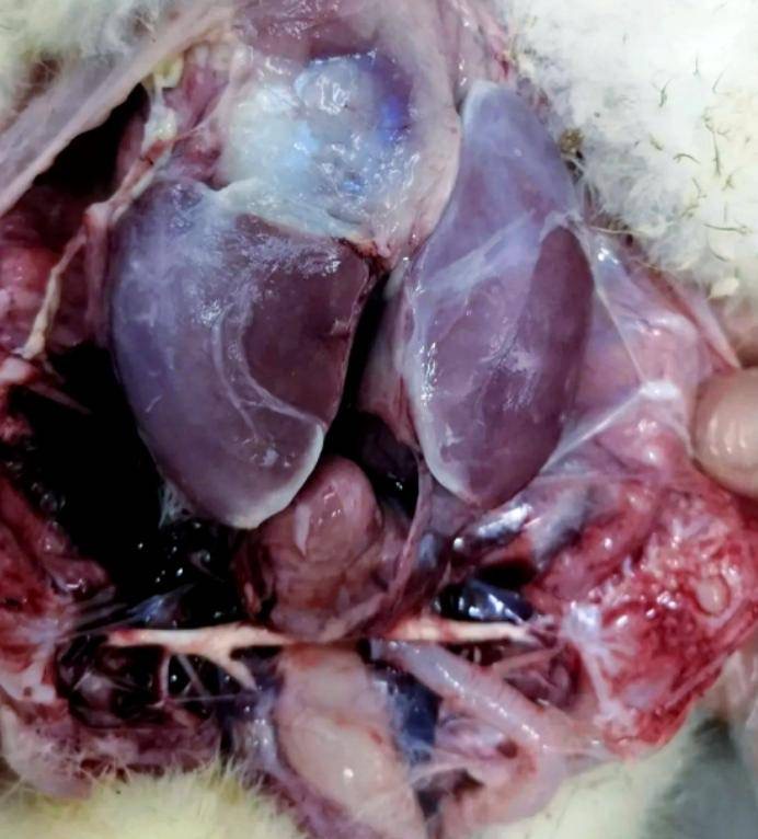 微信圖片_20260720090832.jpg