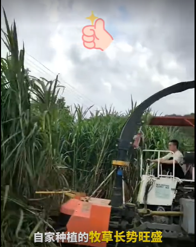 QQ瀏覽器截圖20260810001937.png
