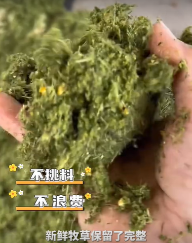 QQ瀏覽器截圖20260810002217.png