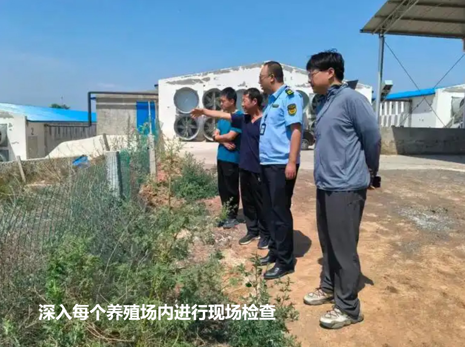 深入每個養(yǎng)殖場內(nèi)進行現(xiàn)場檢查.jpg