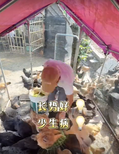 QQ瀏覽器截圖20260811223623.png