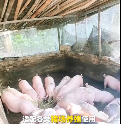 QQ瀏覽器截圖20260814124739.png