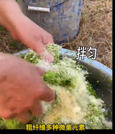 QQ瀏覽器截圖20260814232721.png