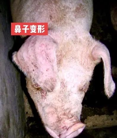 微信圖片_20260818090927.jpg