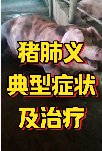 截圖20260819153027.png