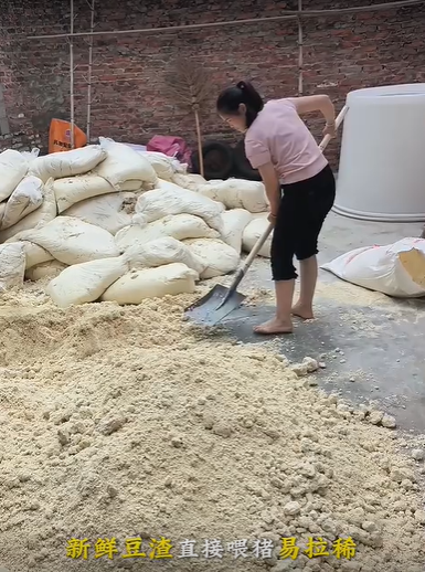 QQ瀏覽器截圖20260821123730.png