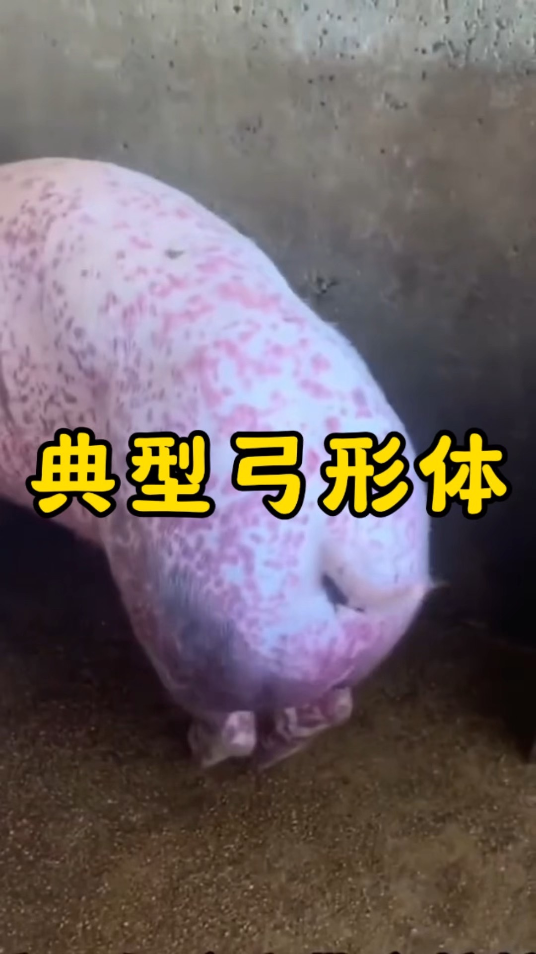 微信圖片_20260824092047.jpg