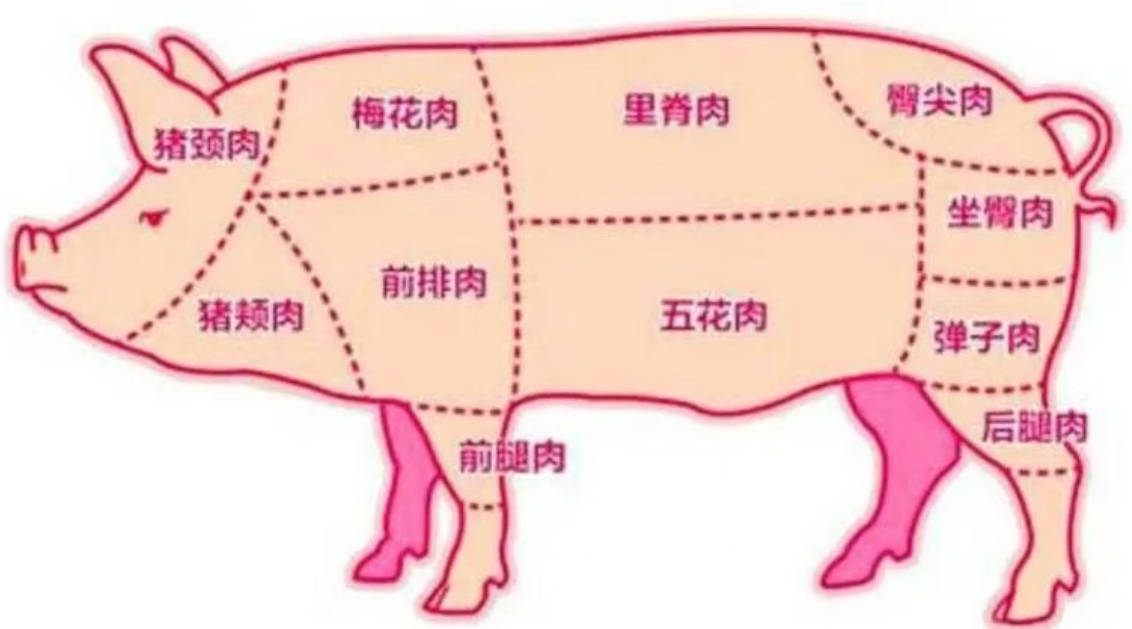 豬全身部位圖.jpg