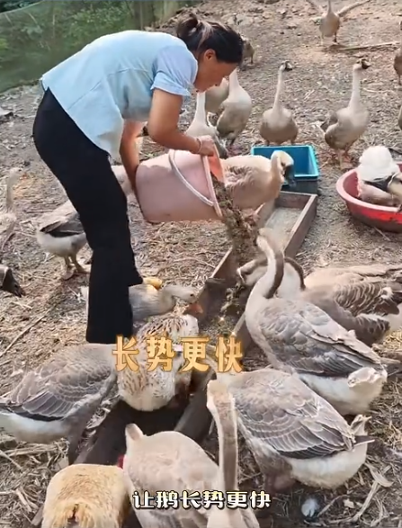 截圖20260828093813.png