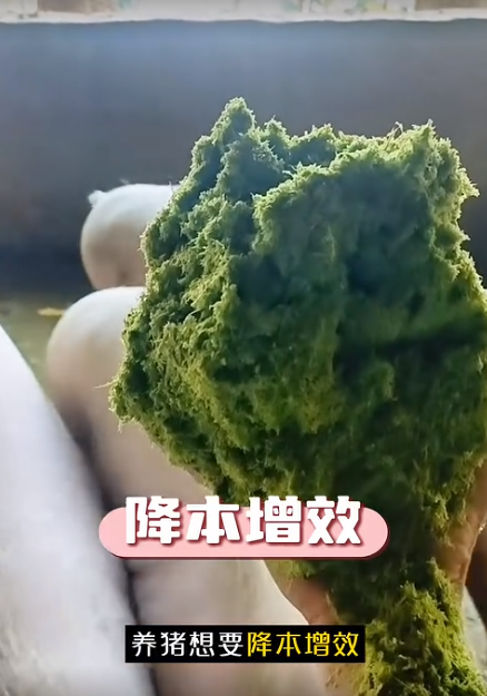 截圖20260901093737.png
