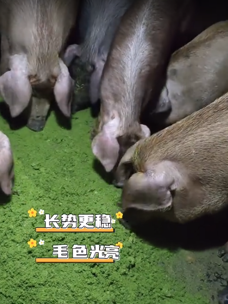 截圖20260901102246.png