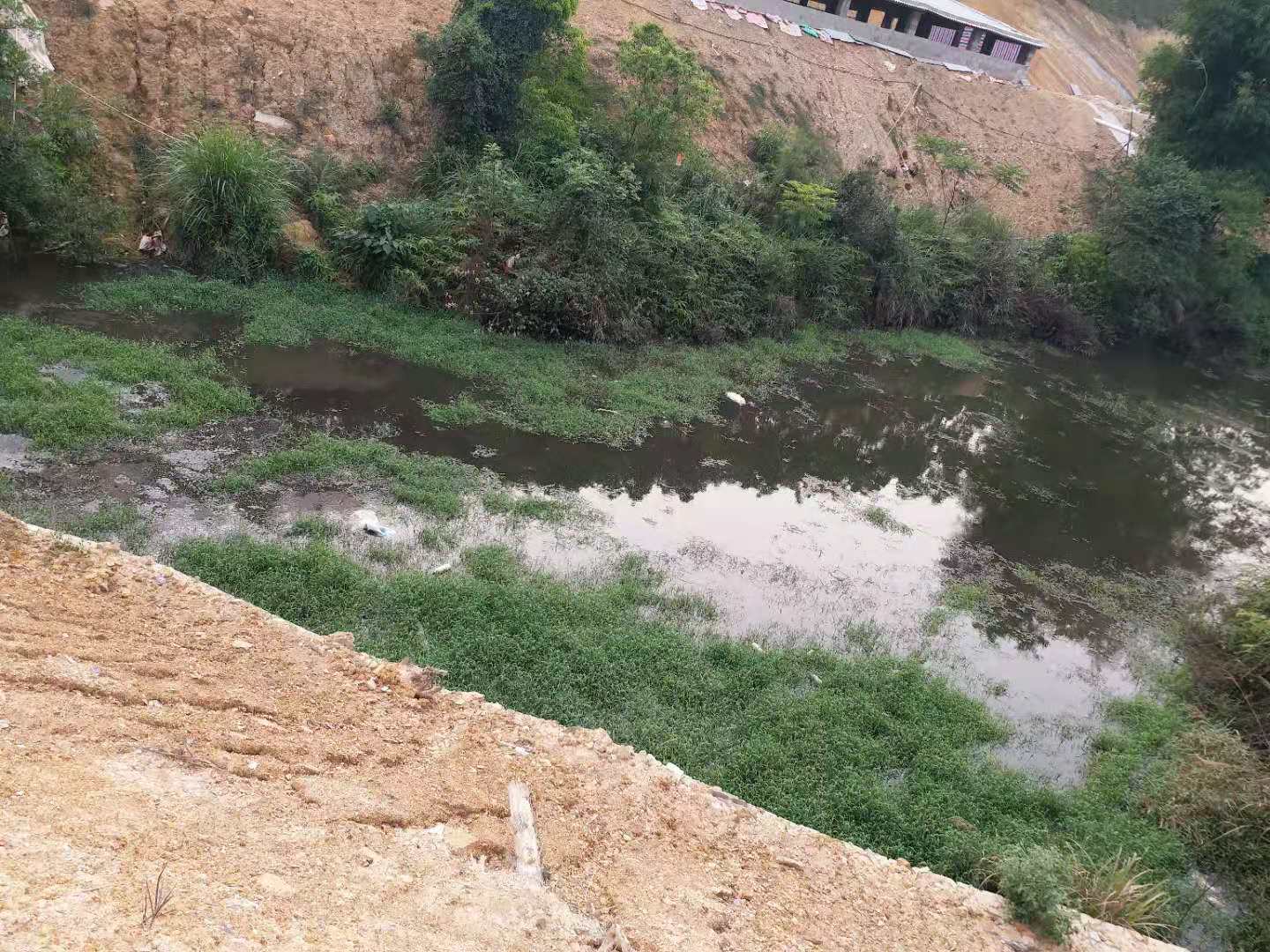 養(yǎng)殖場偷排污水4.jpg