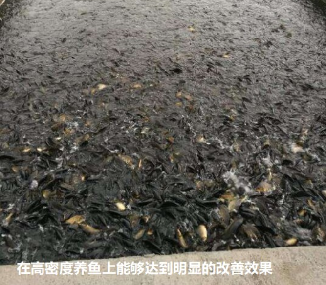 QQ瀏覽器截圖20260904223155.png
