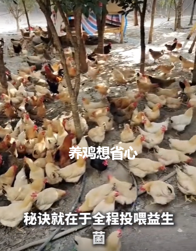 QQ瀏覽器截圖20260908213426.png