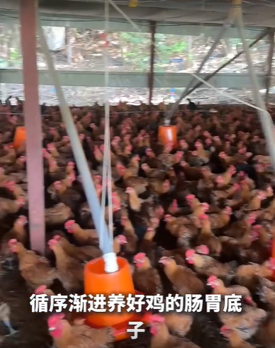 QQ瀏覽器截圖20260908213840.png