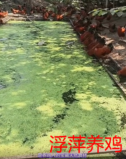 截圖20260911110009.png