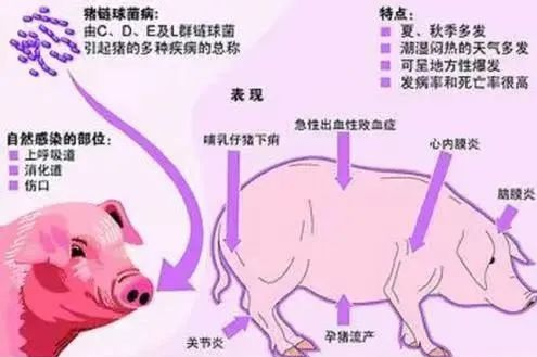 截圖20260911111621.png