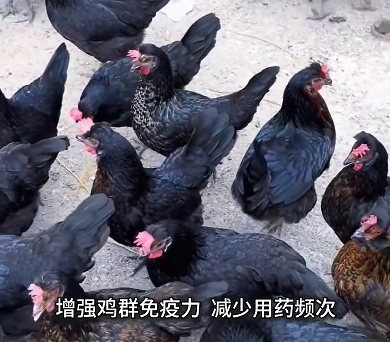 QQ瀏覽器截圖20260915223115.png