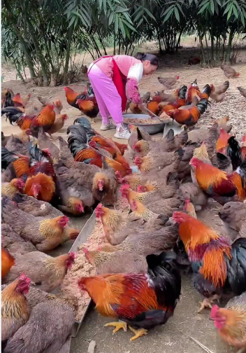 截圖20260919101347.png